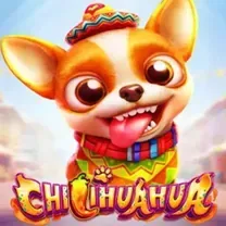 Download Do Aplicativo De Login Do Qbet Casino